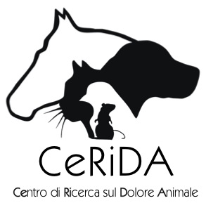logo acronimo titolo