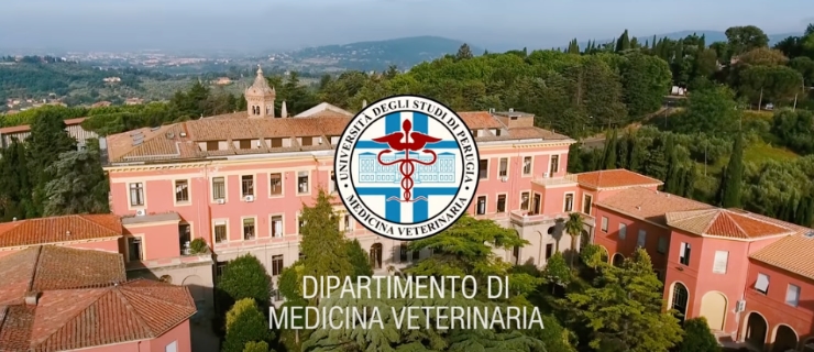 Dipartimento di Medicina Veterinaria